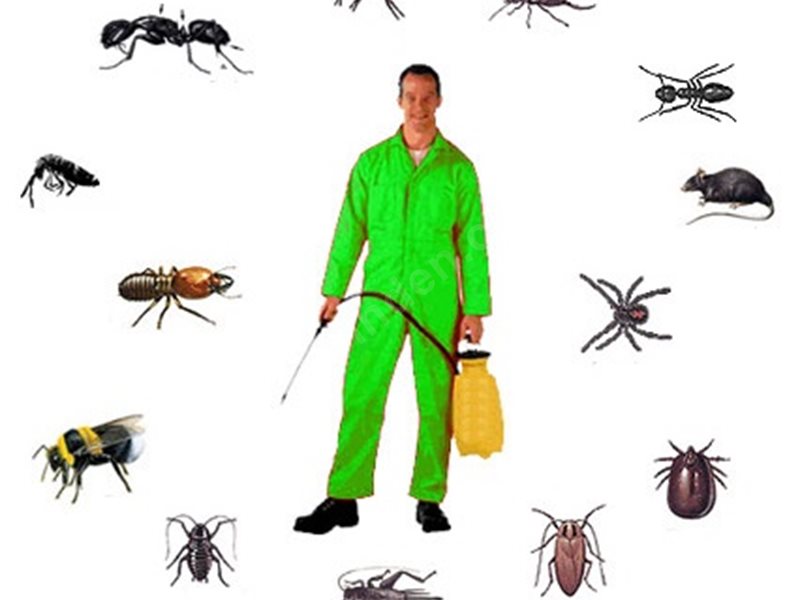 Çamardı Böcek İlaçlama